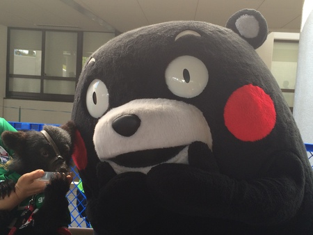 ロアッソ熊本VSFC岐阜 015.JPG